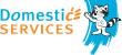 Domestic Services